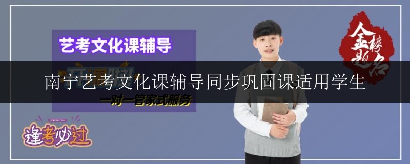 南寧藝考文化課輔導同步鞏固課適用學生